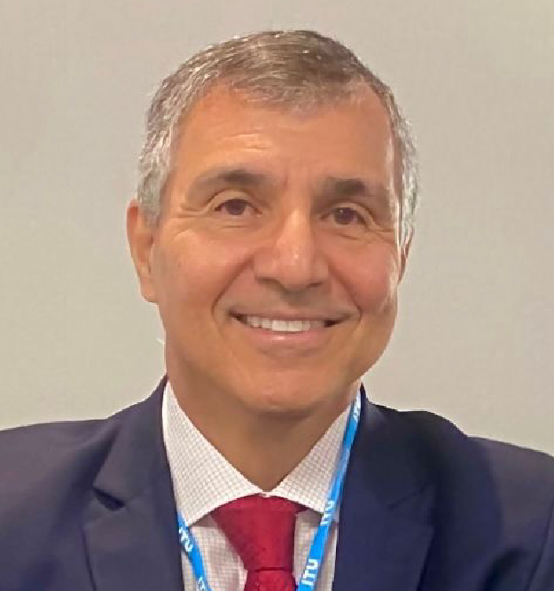Prof. Dimitra Simeonidou